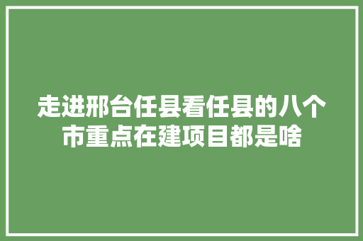走进邢台任县看任县的八个市重点在建项目都是啥