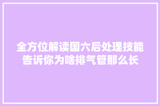 全方位解读国六后处理技能告诉你为啥排气管那么长