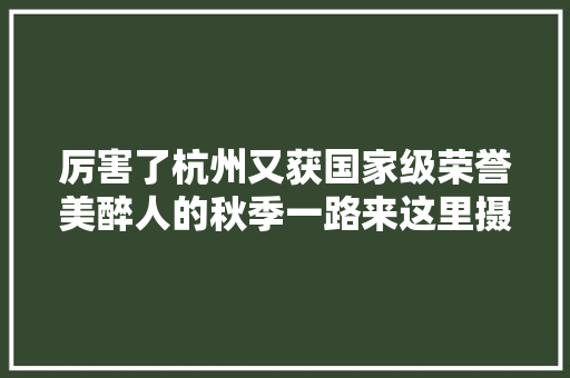 厉害了杭州又获国家级荣誉美醉人的秋季一路来这里摄影打卡