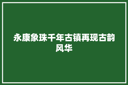 永康象珠千年古镇再现古韵风华