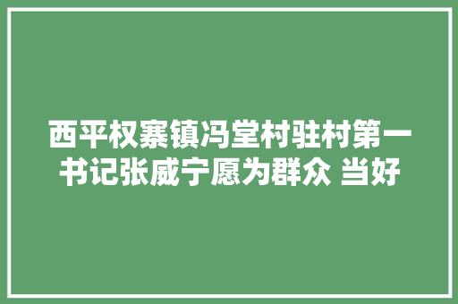 西平权寨镇冯堂村驻村第一书记张威宁愿为群众 当好领头雁