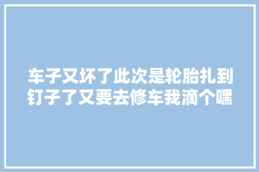 车子又坏了此次是轮胎扎到钉子了又要去修车我滴个嘿汽车