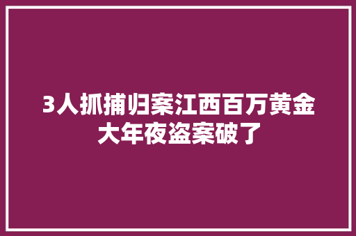 3人抓捕归案江西百万黄金大年夜盗案破了