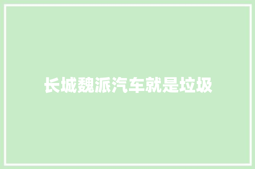 长城魏派汽车就是垃圾
