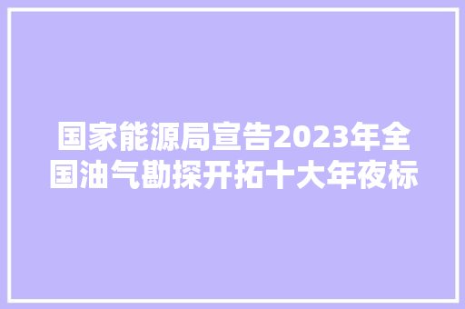 国家能源局宣告2023年全国油气勘探开拓十大年夜标志性成果