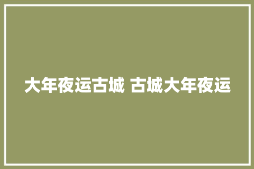 大年夜运古城 古城大年夜运