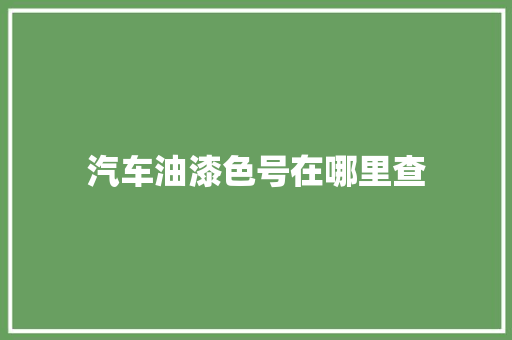 汽车油漆色号在哪里查