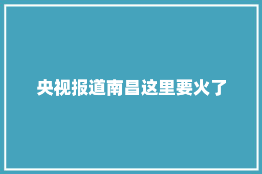 央视报道南昌这里要火了