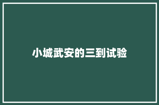 小城武安的三到试验