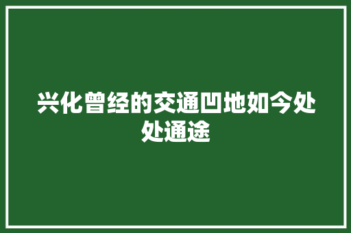 兴化曾经的交通凹地如今处处通途