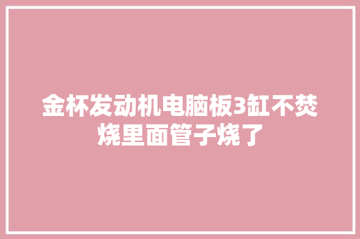 金杯发动机电脑板3缸不焚烧里面管子烧了
