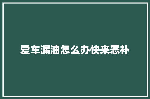 爱车漏油怎么办快来恶补