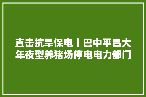 直击抗旱保电丨巴中平昌大年夜型养猪场停电电力部门及时送来发电机解救二师兄