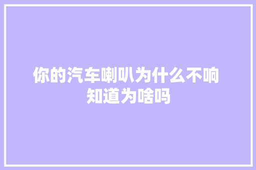 你的汽车喇叭为什么不响 知道为啥吗