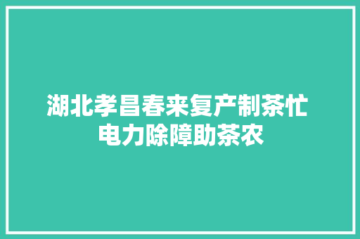 湖北孝昌春来复产制茶忙 电力除障助茶农