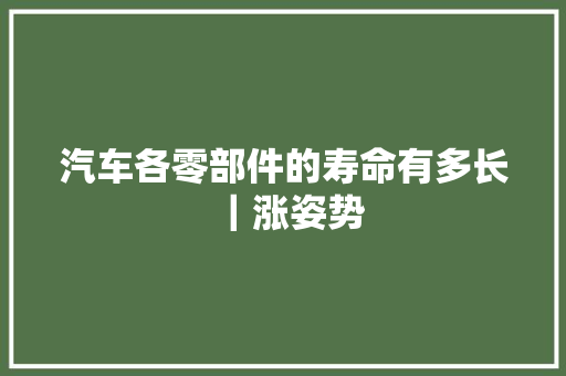 汽车各零部件的寿命有多长｜涨姿势