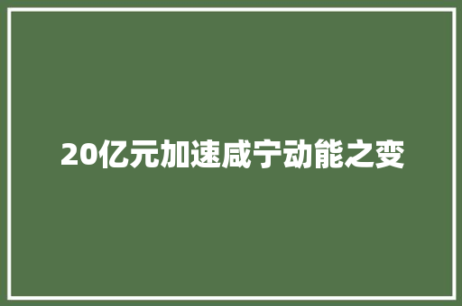 20亿元加速咸宁动能之变