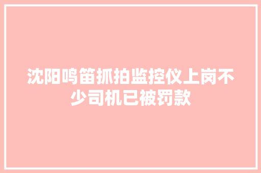 沈阳鸣笛抓拍监控仪上岗不少司机已被罚款