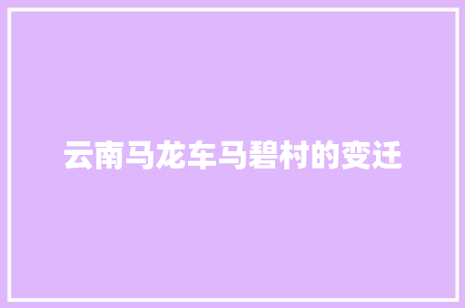 云南马龙车马碧村的变迁