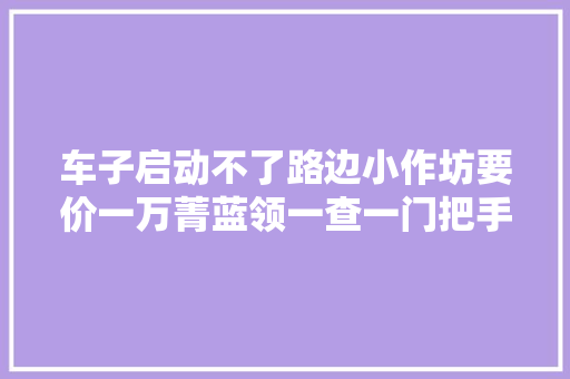 车子启动不了路边小作坊要价一万菁蓝领一查一门把手的事