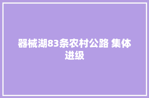 器械湖83条农村公路 集体进级