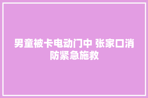 男童被卡电动门中 张家口消防紧急施救 汽车知识