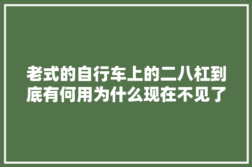 老式的自行车上的二八杠到底有何用为什么现在不见了
