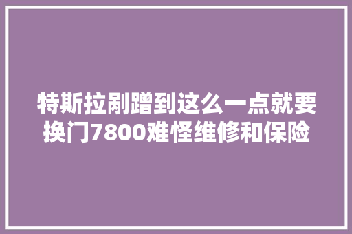 特斯拉剐蹭到这么一点就要换门7800难怪维修和保险费很贵 汽车知识