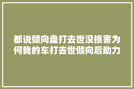 都说倾向盘打去世没损害为何我的车打去世倾向后助力泵有噪音