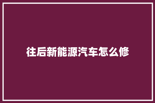 往后新能源汽车怎么修