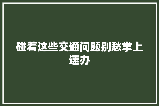 碰着这些交通问题别愁掌上速办