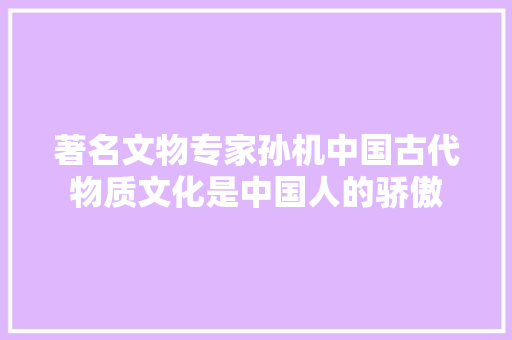 著名文物专家孙机中国古代物质文化是中国人的骄傲