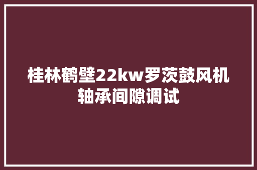 桂林鹤壁22kw罗茨鼓风机轴承间隙调试