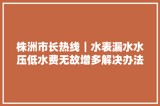 株洲市长热线｜水表漏水水压低水费无故增多解决办法看这里
