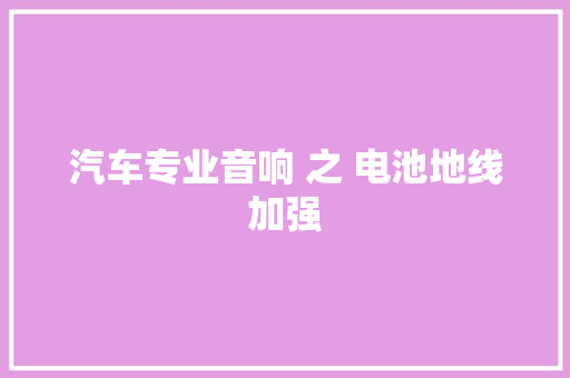 汽车专业音响 之 电池地线加强