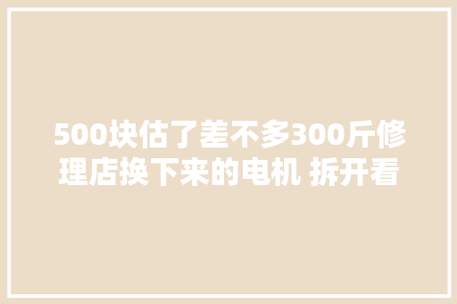 500块估了差不多300斤修理店换下来的电机 拆开看看亏了照样赚了