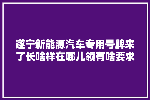 遂宁新能源汽车专用号牌来了长啥样在哪儿领有啥要求