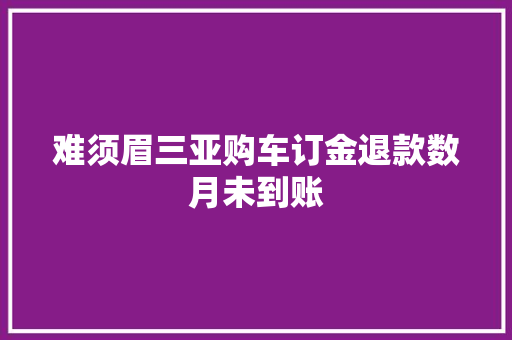 难须眉三亚购车订金退款数月未到账