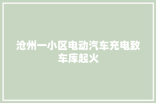 沧州一小区电动汽车充电致车库起火