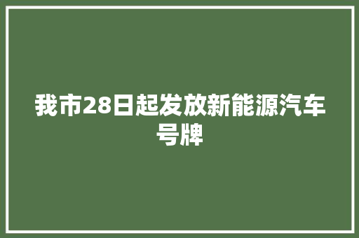我市28日起发放新能源汽车号牌