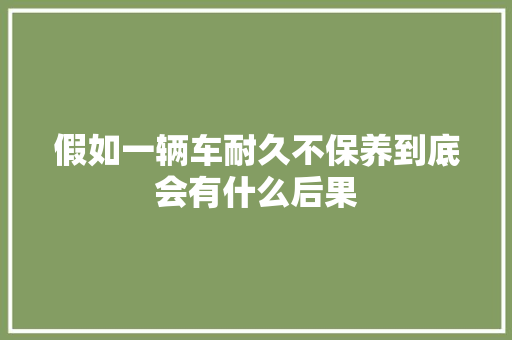 假如一辆车耐久不保养到底会有什么后果
