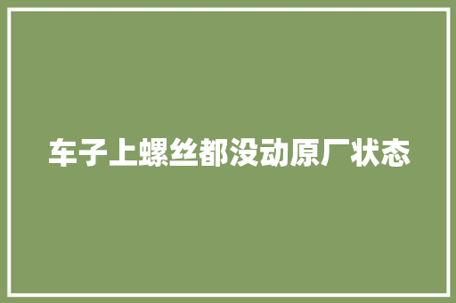 车子上螺丝都没动原厂状态