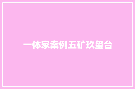 一体家案例五矿玖玺台