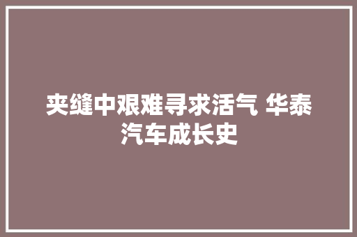 夹缝中艰难寻求活气 华泰汽车成长史