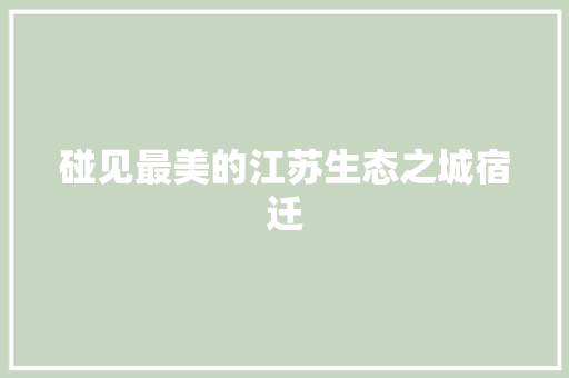 碰见最美的江苏生态之城宿迁