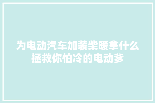 为电动汽车加装柴暖拿什么拯救你怕冷的电动爹