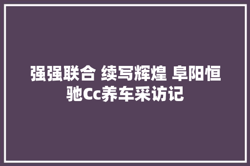 强强联合 续写辉煌 阜阳恒驰Cc养车采访记