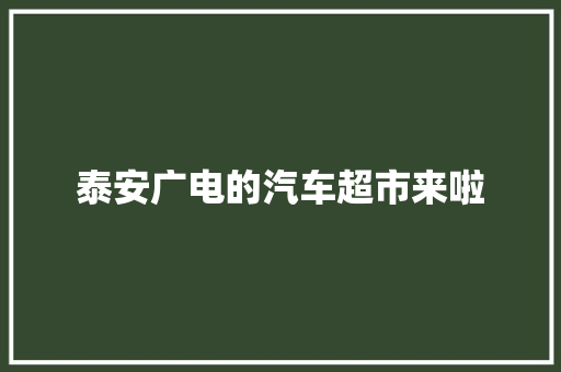 泰安广电的汽车超市来啦