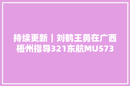 持续更新｜刘鹤王勇在广西梧州指导321东航MU5735航空器飞行事件现场救援善后处置及事件原因查询访问工作
