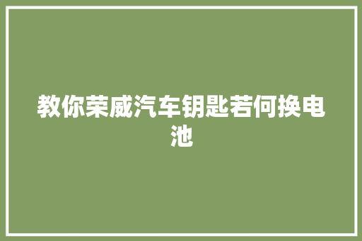 教你荣威汽车钥匙若何换电池